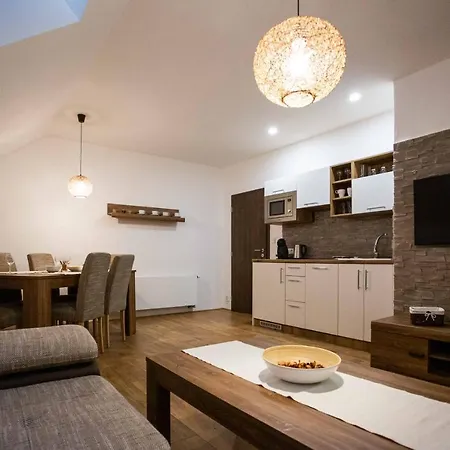 Aparthotel U Solisu *